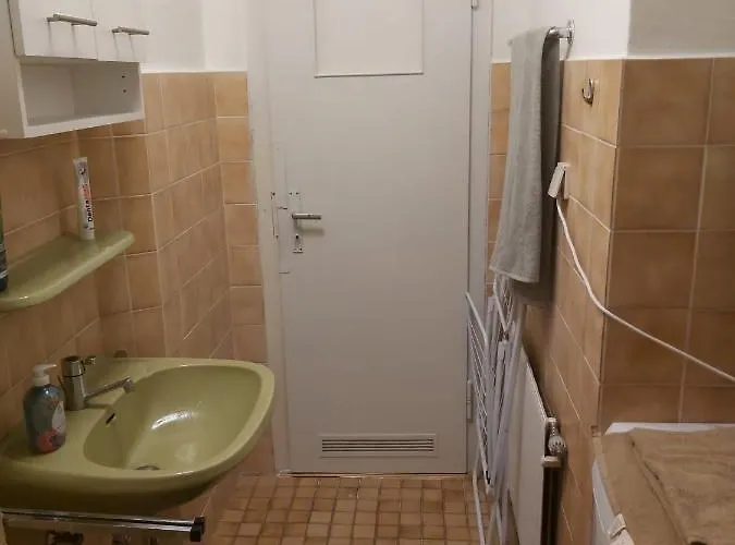 1 Zimmerwohnung Mit Kueche, Balkon Und Badezimmer In Apartmen