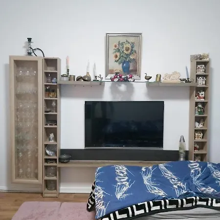 Apartament 1 Zimmerwohnung Mit Kueche, Balkon Und Badezimmer In Apartmen *